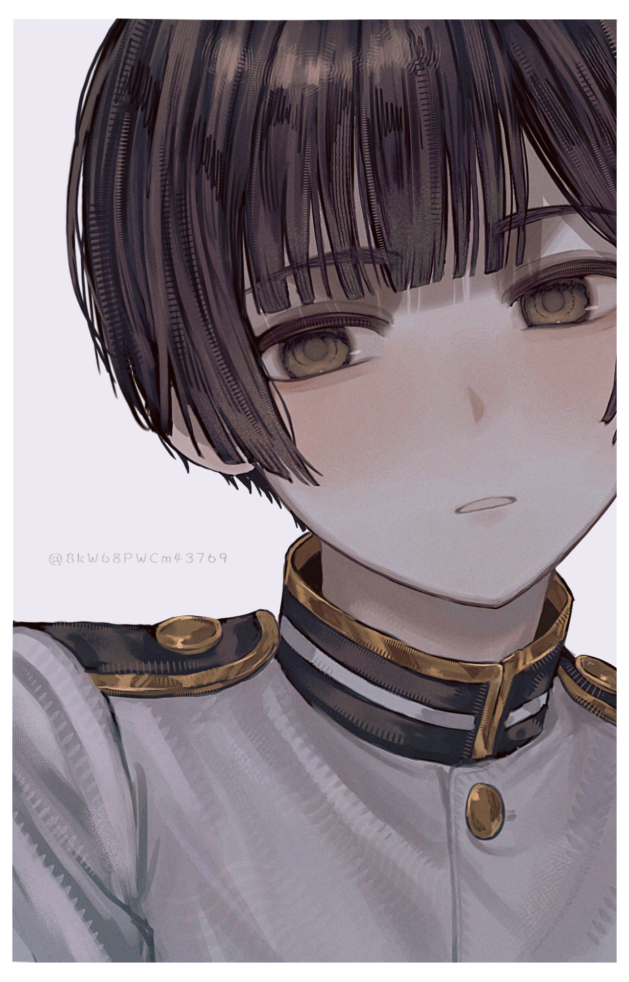 菊の絵　自分で描きました　イラスト　即購入可 🫥🦷👣 - ibisPaint