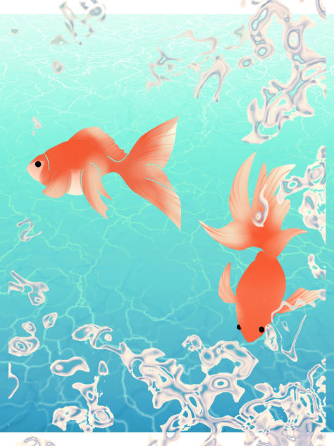 金魚2