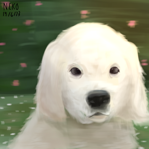 Puppy in the garden