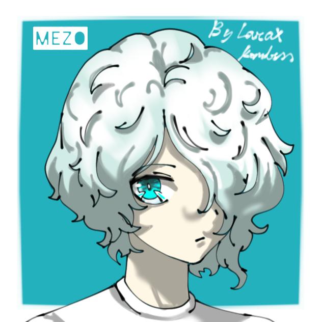 Nr2 (Mezo)