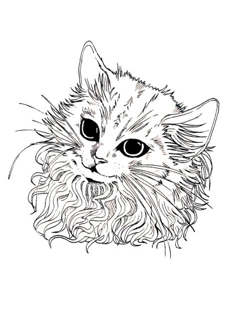 ぬこ（顔）