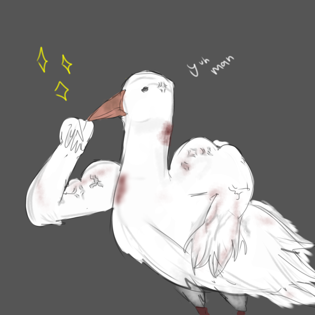 Stronk birddd