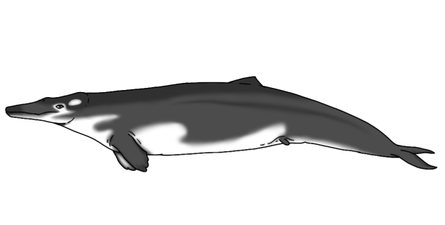 Coronodon havensteini render