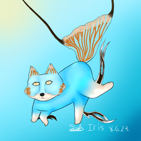 Sea fox - Iris