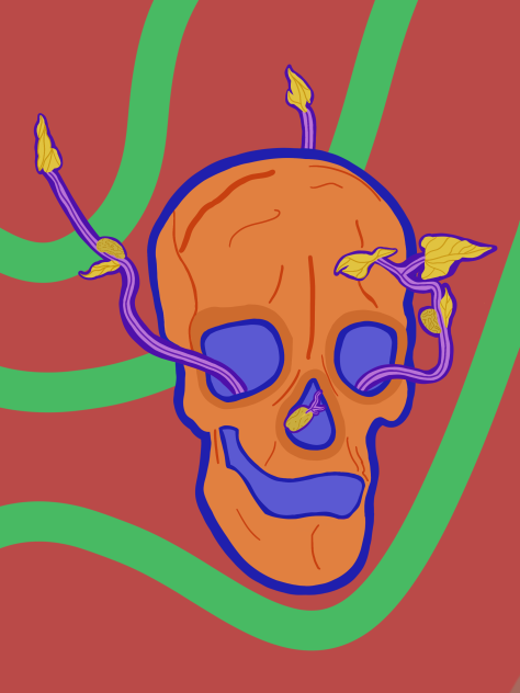 color skulls Mar 13 2023 ap art