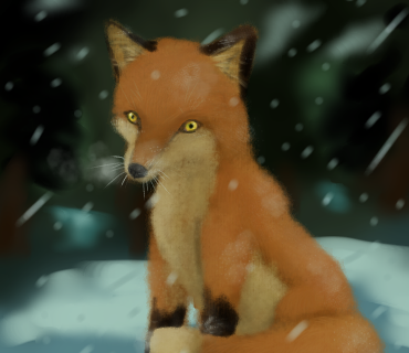 キタキツネ