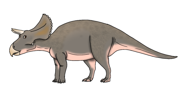 Turanoceratops tardabilis female rnd
