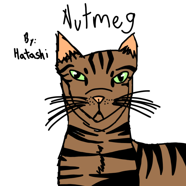 Nutmeg The Cat ibisPaint