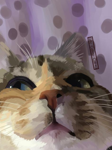 meaowwowow