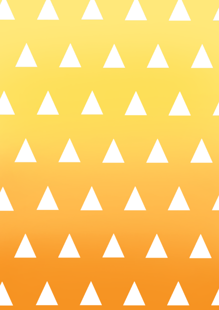 我妻善逸 羽織 鬼滅の刃