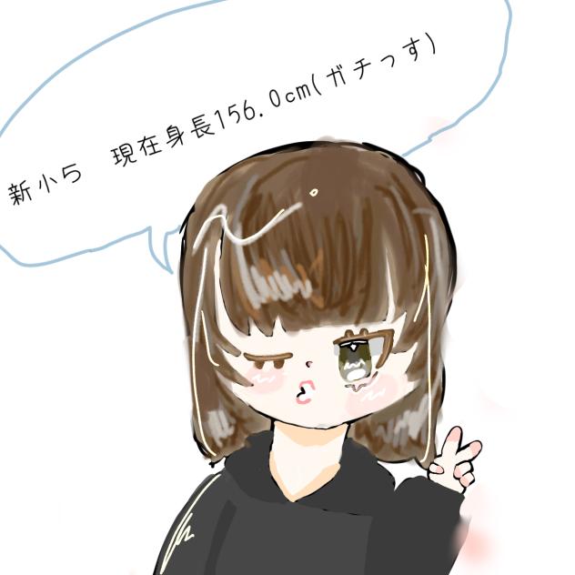 実写のわい