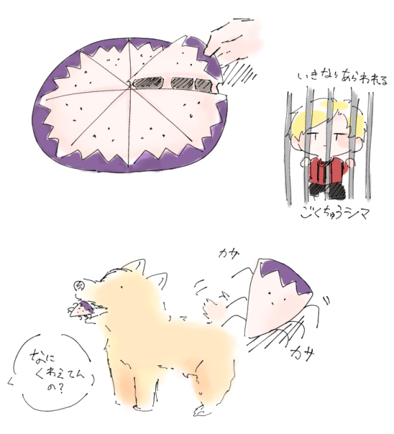 たがめけんもち