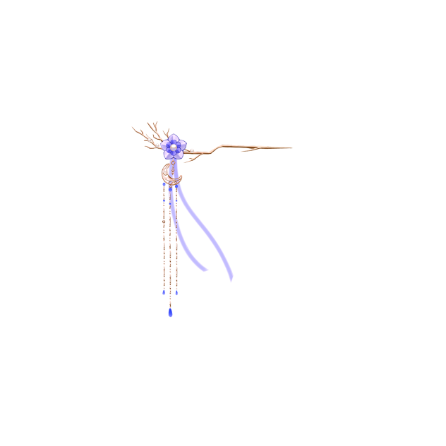 Accessory2