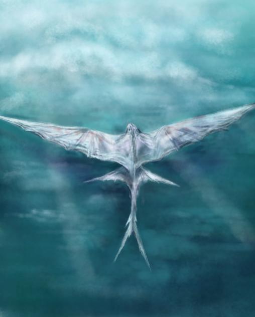 Soaring over sea