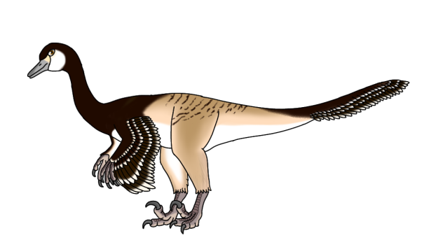 Halszakaraptor