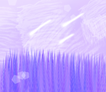 ｌａｖｅｎｄｅｒ    ｆｉｅｌｄ