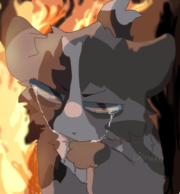ashfur
