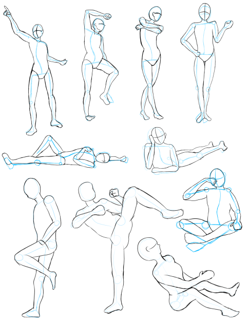 anatomy practice