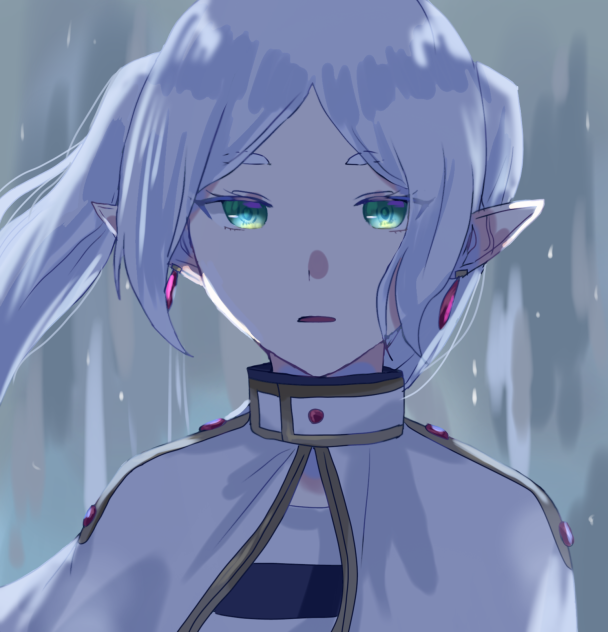 「1000年以上生きた魔法使いだ。」