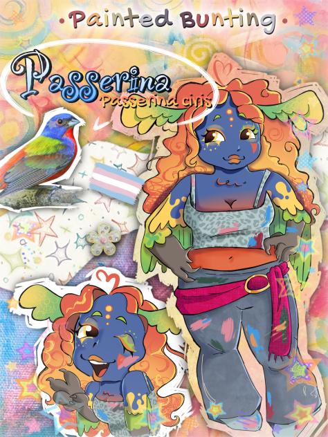 passerina! (painted bunting)