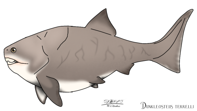 Dunkleosteus - Revamp 2023