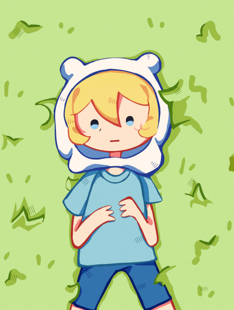 Finn The Human