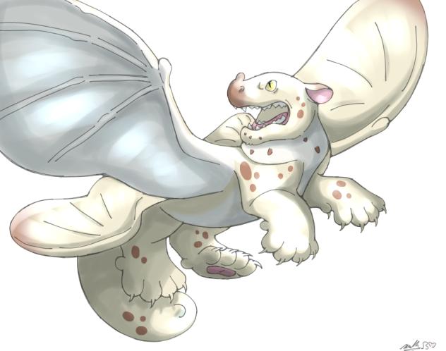 New Dragon!