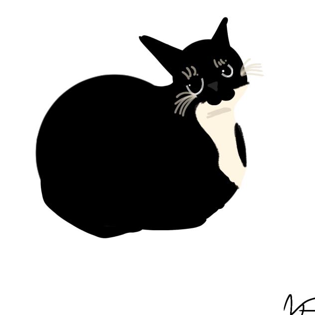 MAXWELL THE CAT