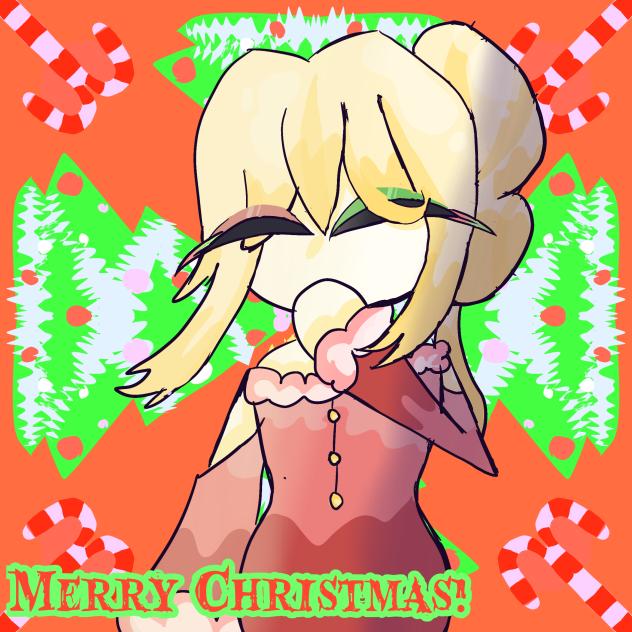 Merry Christmas!!!