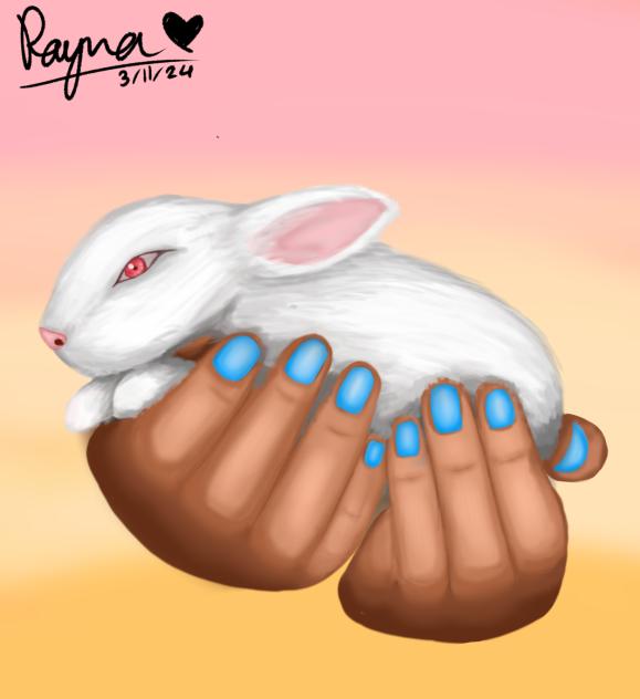 cute rabbit