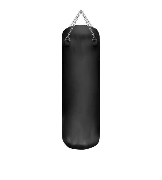 punching bag