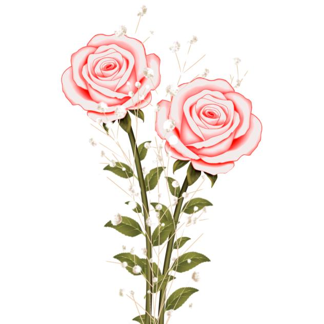 Two flowers with gypsophila 2
