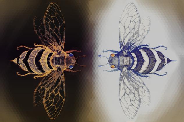 Inverted Bees - ibisPaint