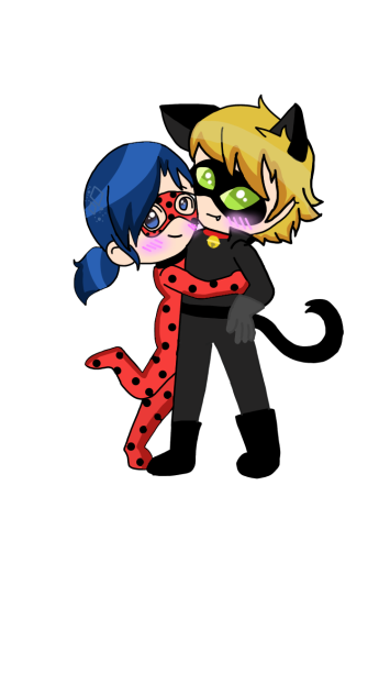Miraculous ladybug x Cat noir