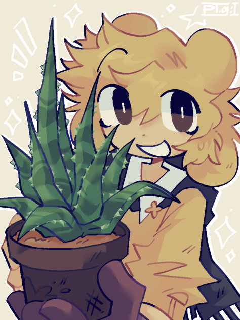 aloevera