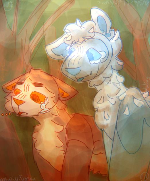 TulipWing+OwlEye