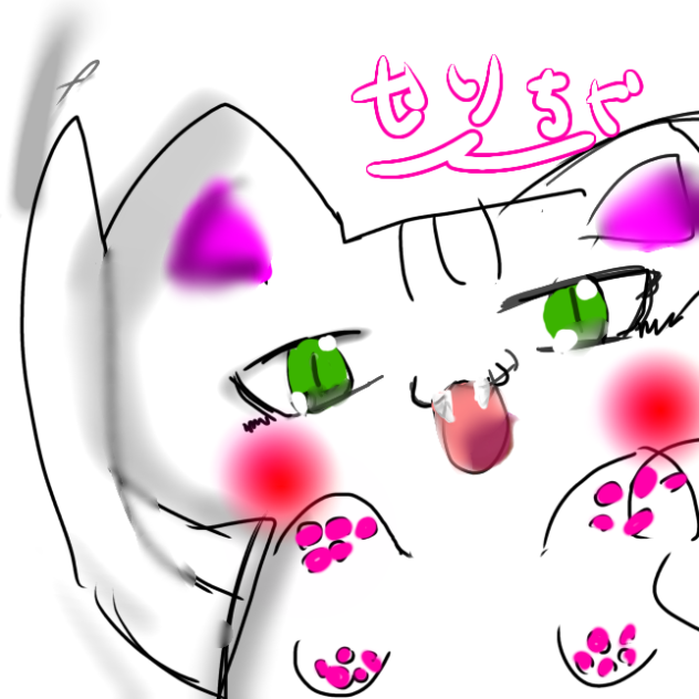 みゅうちゃん（4んだ猫）