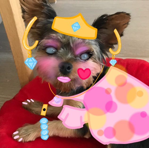 My friend’s dog gets a glow up - ibisPaint