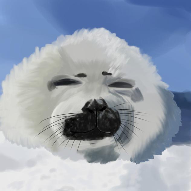 Bby seal