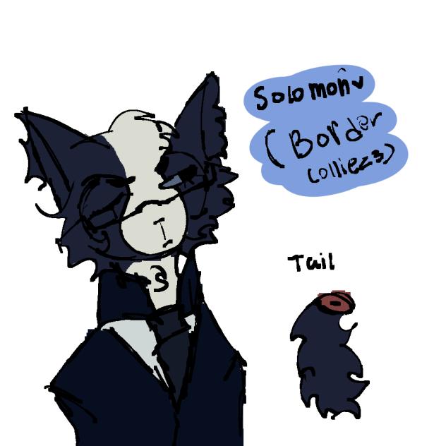 SOLOMON!!
