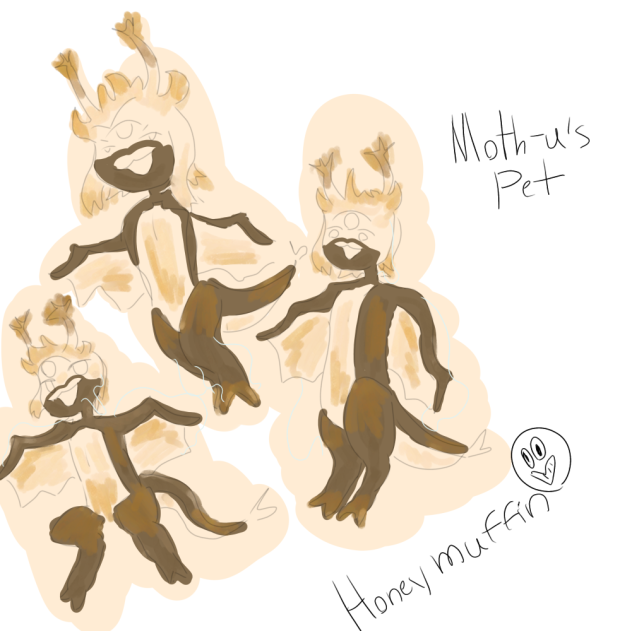 Honey Muffin(Moth-u’s pet)