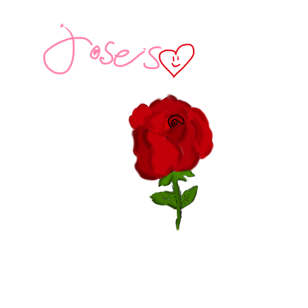 A rose