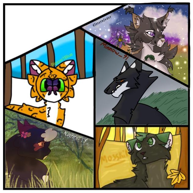 Report Warrior Cats Collab