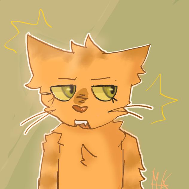 My soul cat (Maine coon) -furry practice