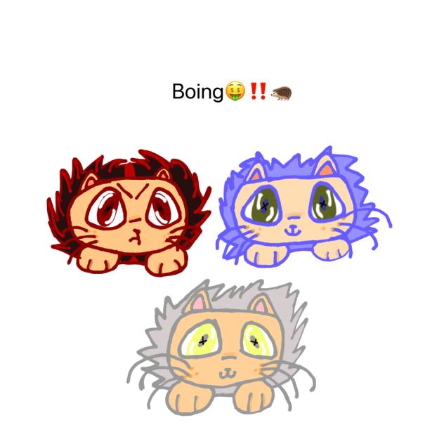 Boing🤑‼️🦔