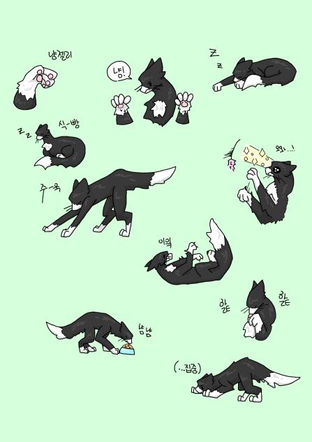 턱시도냥