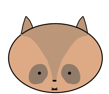 はじめてアライグマを描きました