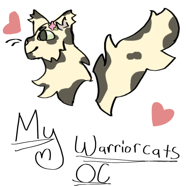 WARRIOR CATS!!
