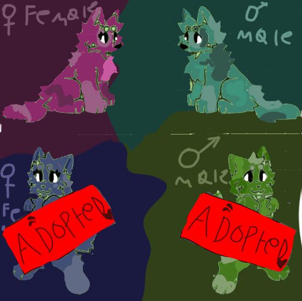 Up for adoption!!!