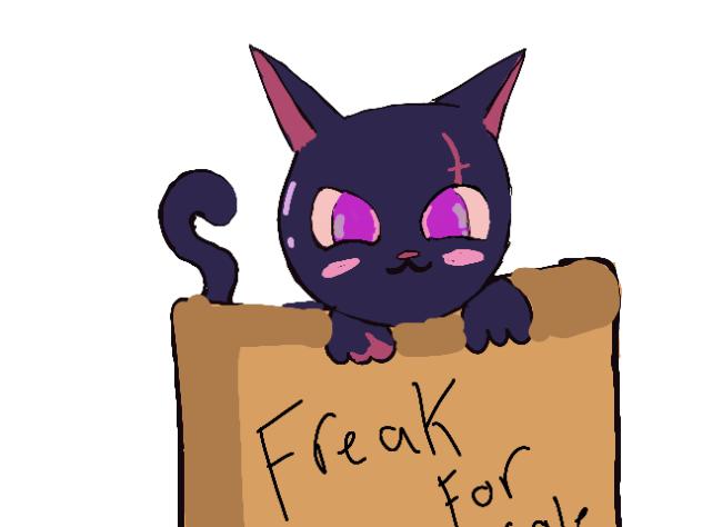 Meet scratch the not normal 😺